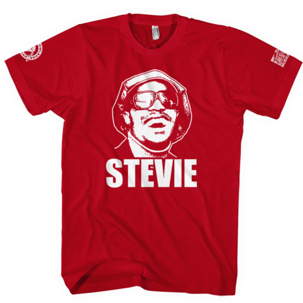 Stevie Wonder – Visions of Soul